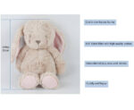 ASTM Factory Custom Cuddly Soft Lop Ear Plush Bunny Easter Bunny OEM/ODM - Image 2